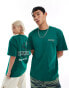 Dickies cascade lock short sleeve back print t-shirt in dark green- exclusive to asos