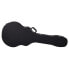 Thomann Jumbo Acoustic Bass Case