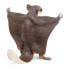 Фото #4 товара SAFARI LTD Flying Squirrel Figure