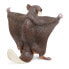 Фото #5 товара SAFARI LTD Flying Squirrel Figure