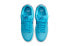 Nike Dunk SB Low Pro "blue fury" 防滑轻便 低帮 板鞋 男女同款 毛绒蓝