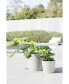 Фото #3 товара Amsterdam Modern Round Planter with Water Reservoir, 12in