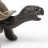 Фото #2 товара Фигура маленькой черепахи Safari Ltd. Животное - детёныш.