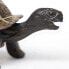 Фото #3 товара SAFARI LTD Tortoise Baby Figure