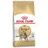 Фото #2 товара ROYAL CANIN Bengal Poultry Vegetable Adult 2kg Cat Food