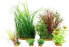 Фото #1 товара Zolux Dekoracja roślinna PlantKit Jalaya model 4 (352148)