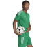 Фото #8 товара Adidas Tiro 23 League Jersey M IC7477