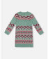 Toddler Girls Norwegian Jacquard Knit Dress Mint