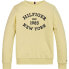 Фото #1 товара TOMMY HILFIGER Monotype Flock Regular sweatshirt