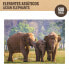 Фото #6 товара Головоломка Colorbaby Elephant 500 Предметы 6 штук 61 x 46 x 0,1 cm