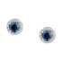 Фото #2 товара Elegant silver earrings with blue zircons Silver LPS01AWV04