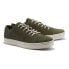 TIMBERLAND Adventure 2.0 Cupsole Modern Oxford trainers