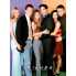 Фото #1 товара FRIENDS Cast 500 Piece Puzzle