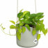 Фото #5 товара Горшок для цветов elho Hanging Planter Green Plastic 18 cm