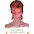 PYRAMID David Bowie Aladdin Sane Poster