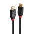 Фото #1 товара Lindy 10m Active DisplayPort 1.4 Cable - 10 m - DisplayPort - DisplayPort - Male - Male - 7680 x 4320 pixels