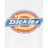 Футболка с коротким рукавом Dickies Icon Logo Белый Унисекс