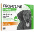 FRONTLINE Hundekombination - 2-10 kg - 4 Pipetten