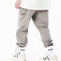 Фото #4 товара Спортивные брюки GAONCREW 2020SS-PPDG39 Deep Gray