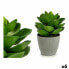 Фото #1 товара Декоративное растение Серый Зеленый (16 x 21 x 16 cm) (6 штук)