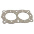 Фото #1 товара SIERRA 18-3841-2 Johnson&Evinrude Engines Cylinder Head Gasket