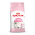 Фото #2 товара Корм для котов Royal Canin Kitten Курица 10 kg