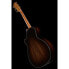 Taylor 814ce Builders Edition Blackt