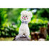 INNOGIO Gioplush Alpaca 30 cm Teddy