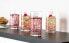 Tuscany Classics Highball Glasses, Set of 4