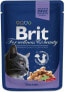 Фото #1 товара Brit Premium Cat Pouches Family Plate Poultry & Fish 12x100g