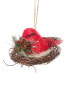 Kurt Adler 4In Cardinal & Jay In Nest Ornaments (2 Assorted) Multicolor