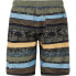 PROTEST Frisby Swimming Shorts