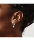 Stainless Steel Polished with CZ Dangle Hoop Earrings