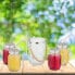 Фото #2 товара Стаканы для напитков с крышками и аксессуарами Relaxdays "Лимонад", 4 шт.