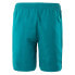 Фото #4 товара IQ Amer Shorts