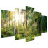 Фото #2 товара Acrylglasbild Green Sanctuary