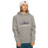 Фото #1 товара QUIKSILVER Big Logo Snow hoodie