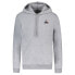 Фото #1 товара LE COQ SPORTIF 2310556 Essentials N°2 hoodie