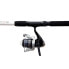 LINEAEFFE Xtreme Fishing Snake Head Spinning Combo