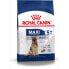 Фото #2 товара Фураж Royal Canin Maxi Adult 5+ Для взрослых птицы 15 kg