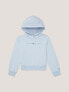 Kids' Tommy Logo Hoodie