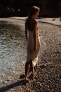 Фото #4 товара Платье миди из эластичной ткани с горловиной халтер ZARA