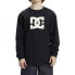 DC SHOES Dc Star Hls long sleeve T-shirt