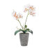 Фото #1 товара Künstliche weiße Phalaenopsis-Orchidee