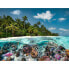 Фото #3 товара Puzzle Ein Tauchgang auf den Malediven