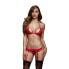 Red Lacy Bra Garter &amp; Open Crotch Panty One Size Baci Lingerie BW3101-REDOS