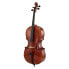 Фото #1 товара Gewa Maestro 31 Cello 7/8