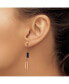 ფოტო #2 პროდუქტის Stainless Steel Polished Black and Rose plated Dangle Earrings