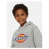 Фото #6 товара DICKIES Youth Logo hoodie