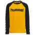 Фото #1 товара HUMMEL 213853 long sleeve T-shirt